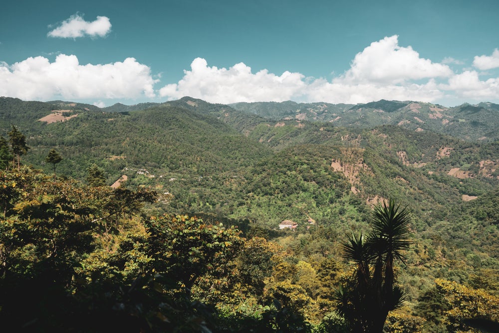 Sucafina Finca Vizcaya FW